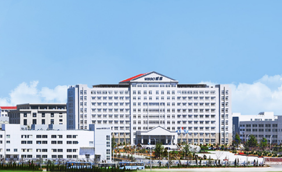 山东威高集团